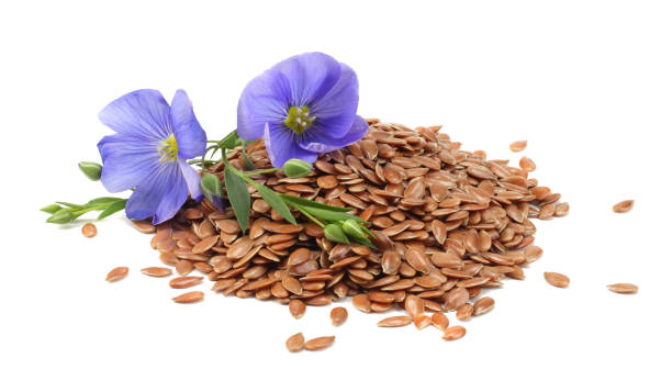 flax seeds with flower isolated on white background. flaxseed or linseed. Cereals. flax seeds with flower isolated on white background. flaxseed or linseed. Cereals. salvia hispanica plant stock pictures, royalty-free photos & images