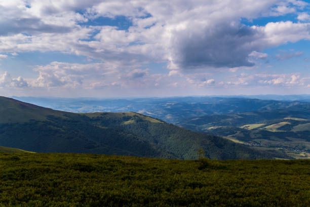 istock Endless gently sloping mountain ranges with a huge number of green tall trees 1001102764