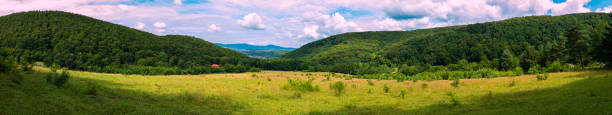 istock A magnificent panorama of a lush valley covered with grass and a low bush lying between high slopes with green thick trees 1001106558