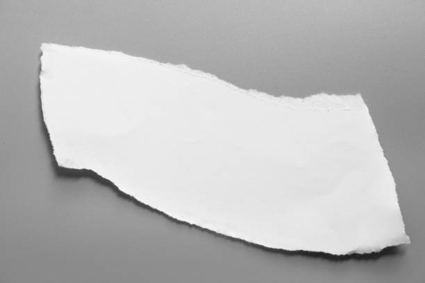 istock white torn paper on gray background. collection paper rip 1001111560