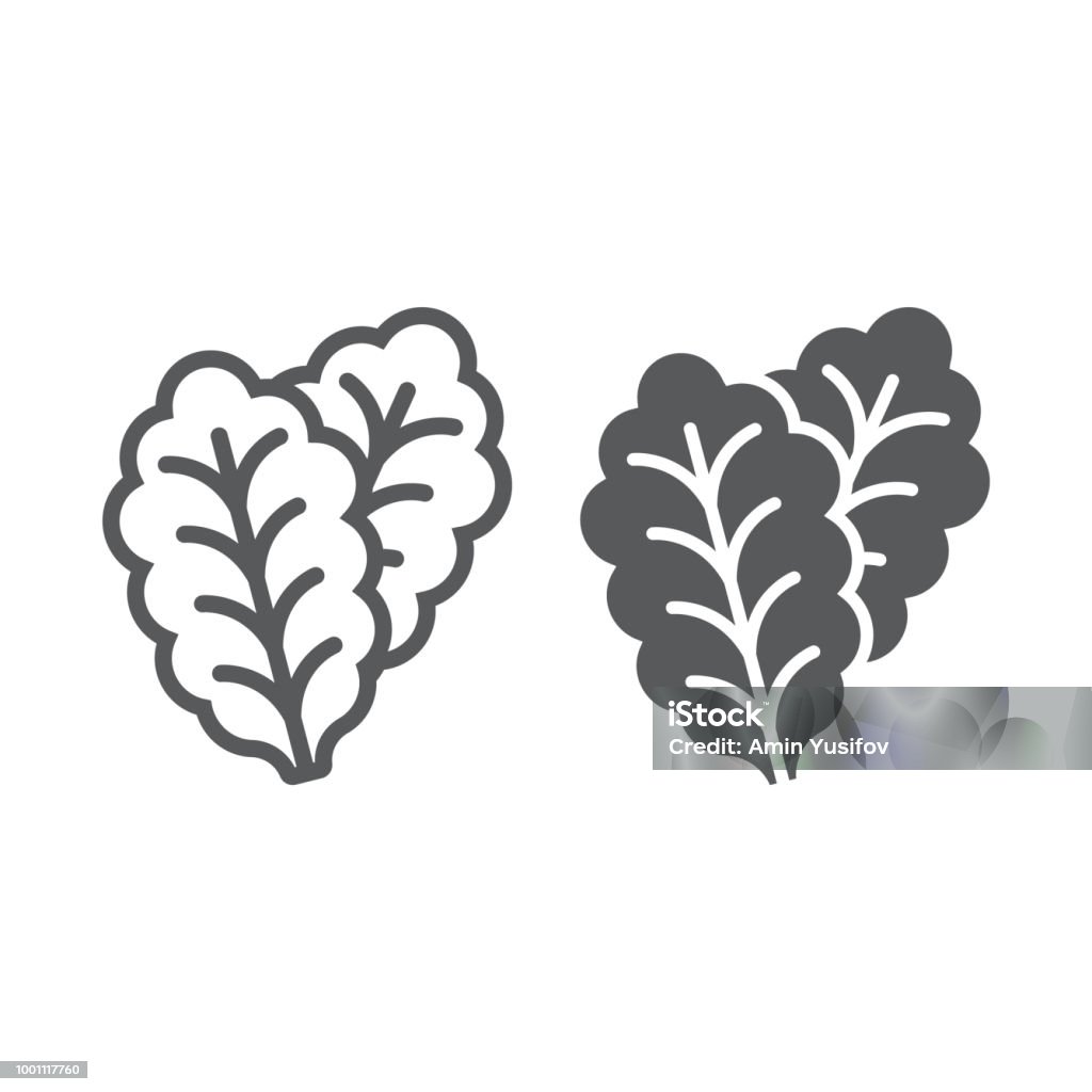 Leaf Lettuce line and glyph icon, vegetable and diet, vegetarian sign, vector graphics, a linear pattern on a white background, eps 10. Lettuce stock vector