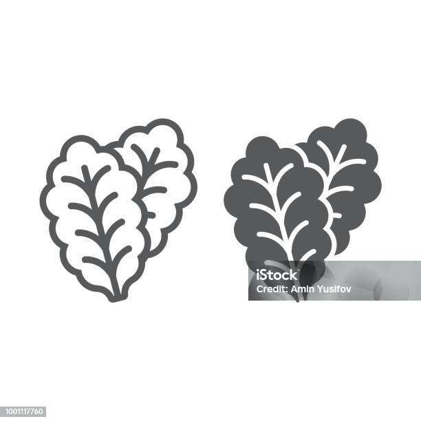 Leaf Lettuce Line And Glyph Icon Vegetable And Diet Vegetarian Sign Vector Graphics A Linear Pattern On A White Background Eps 10 Stock Illustration - Download Image Now