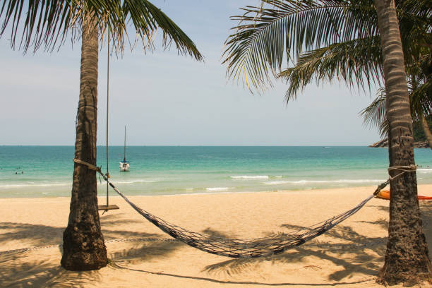 istock Empty hammock hanging from two palm trees on the beach in Koh Phangan, Thailand 1001121658