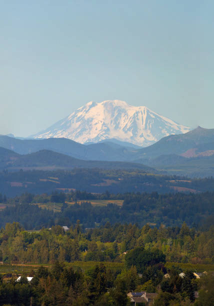 istock Snow covered Mount Adams in Washington State on a clear blue sky day 1001124414