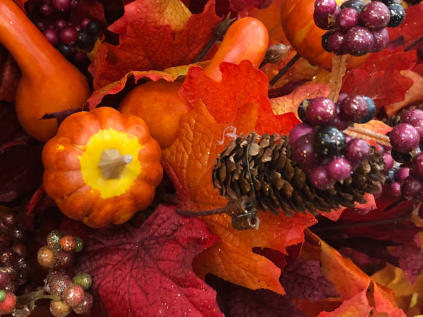 istock Fall Season Decoration - fabricated plants 1001137418