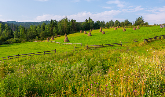 Hay bales sitting in summer farm field.
