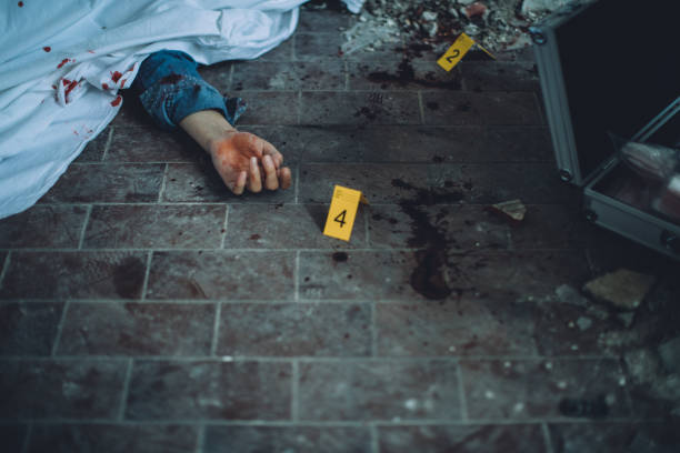 Crime scene Detectives and forensics on murder crime scene collecting evidence evidence photos stock pictures, royalty-free photos & images