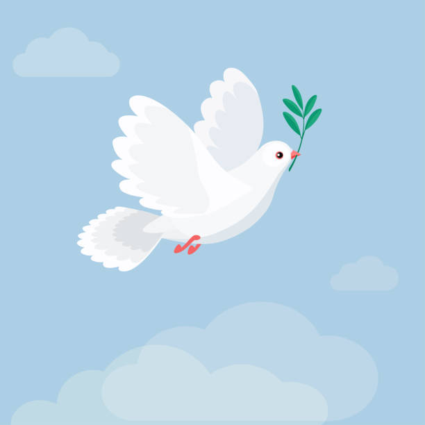 ilustraciones, imágenes clip art, dibujos animados e iconos de stock de ilustración de vuelo blanco paloma de explotación del olivo. estilo plano - paloma blanca