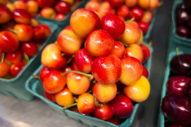 istock Fresh Red and Yellow Golden Cherries 1001143092