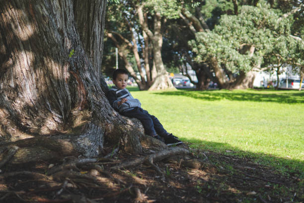 Boy playing under a tree stock photo