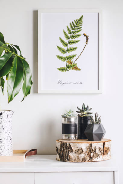 istock Modern composition of white cupboard whit tropical green leaf, cacti and succulent. Stylish compostion of mock up poster frame. 1001156688