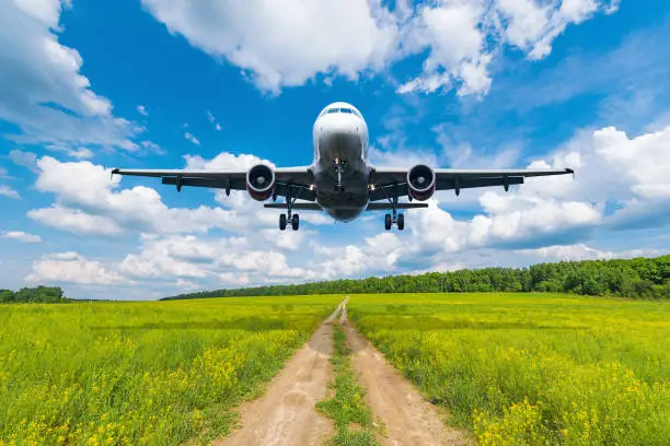 Photo of Landing of the passenger plane.