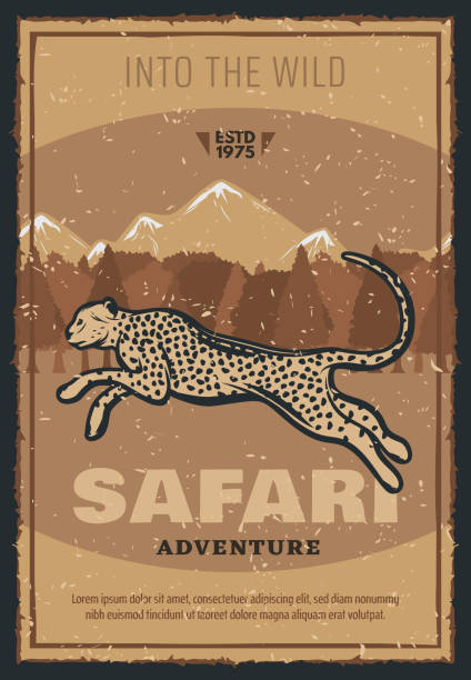 Safari hunting adventure retro poster for hunter club. Vector vintage design of wild African cheetah panther or leopard cougar in savanna for hunt open season or trophy