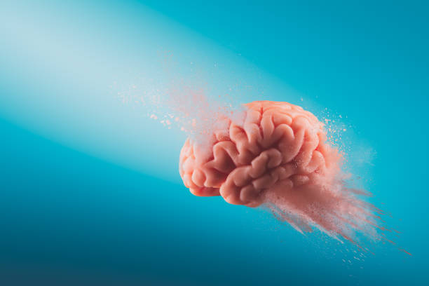 Exploding Brain Fail 3,000+ Exploding Brain Stock Photos, Pictures & Royalty-Free Images ...