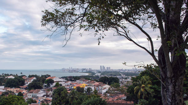 istock Olinda framed by the nature 1001193004