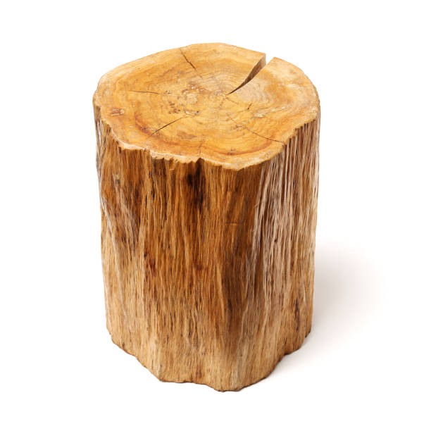 istock Log Wood isolated on a white background 1001193214