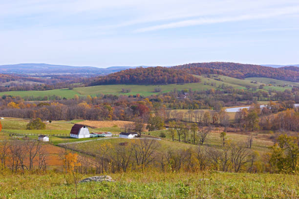 istock Countryside landscape in autumn. 1001196728