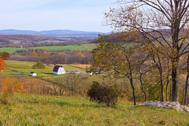 istock A scenic farm with fields and forests under the blue sky. 1001196746