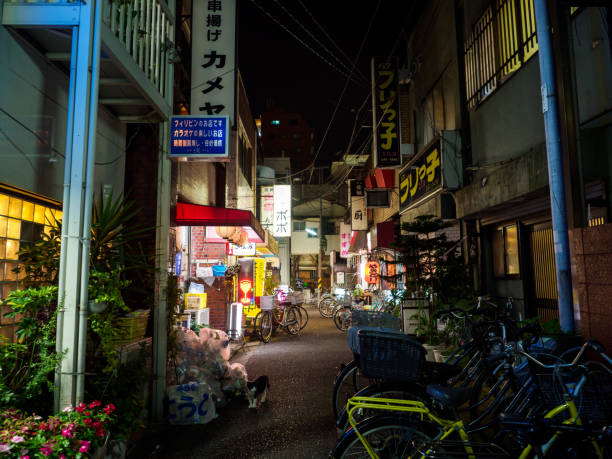 istock Tateishi, Japan Tokyo 1001199272