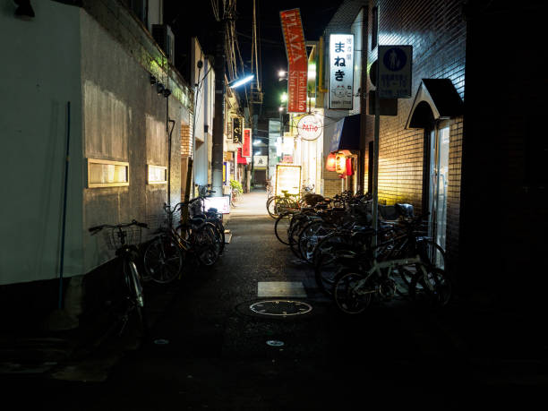 istock Tateishi, Japan Tokyo 1001199368