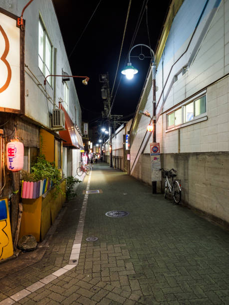 istock Tateishi, Japan Tokyo 1001199548
