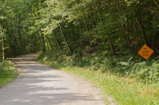 istock A dirt road through the woods 1001201800