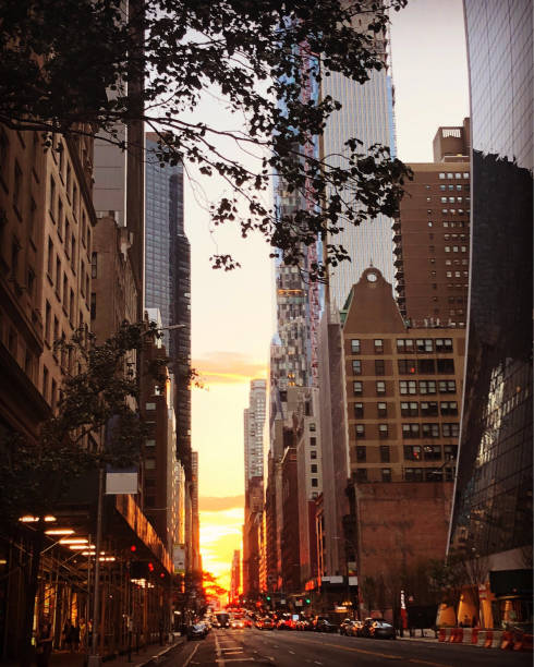 istock Golden hour in New York 1001225376