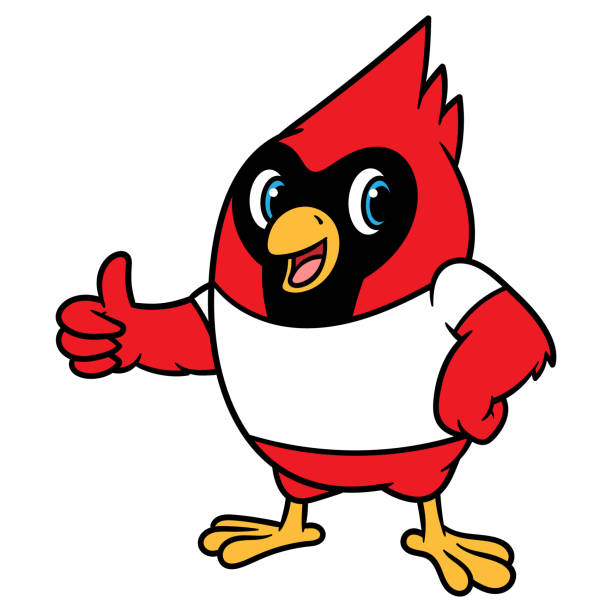 Cartoon Cardinal Bird Mascot Cartoon Cardinal Bird Mascot northern cardinal stock illustrations