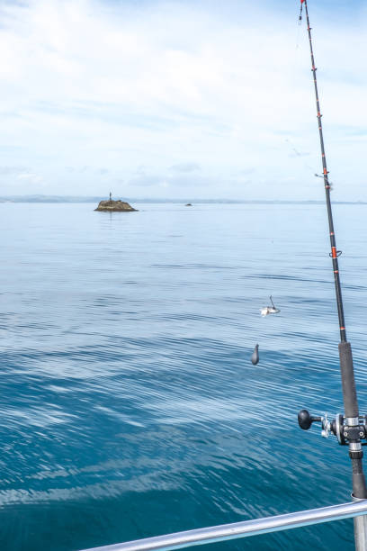istock Fishing rod with bait and sinker with navigation buoy in background in Far North District, Northland, New Zealand, NZ 1001264682