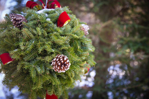 istock Holiday Kissing Ball 1001270452