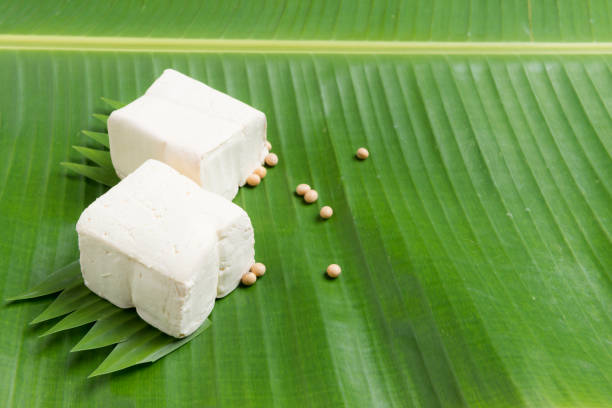 istock tofu are a good source of protein 1001273578