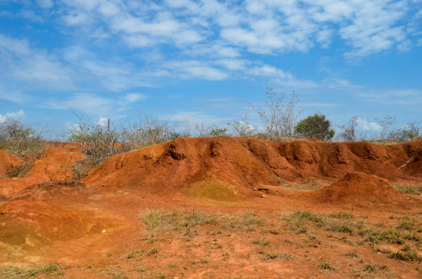 Sarigua National Park is an example of deforestation consequences where the erosion and salt concentration effects has created a desert like landscape.