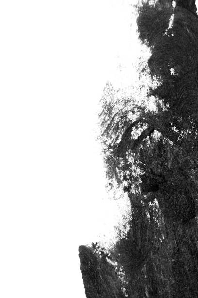 istock Black brush strokes on white paper isolated 1001289160