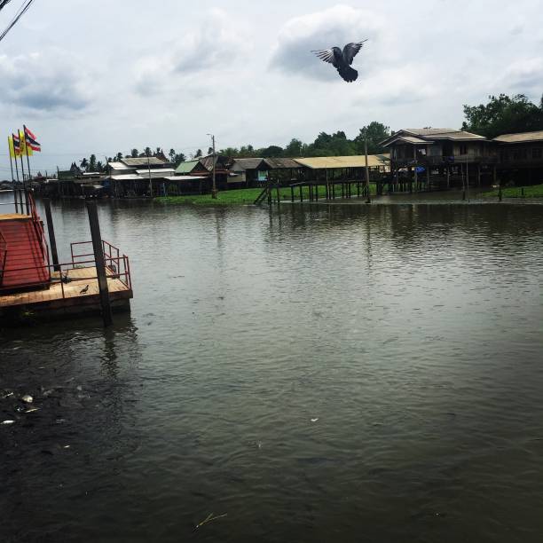 istock Rural river  and huts view with flying bird 1001294848