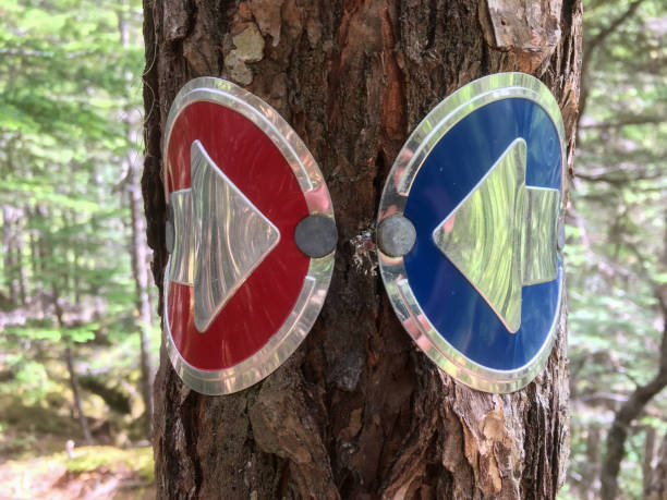 istock Hiking trial signs send mixed signals 1001295552