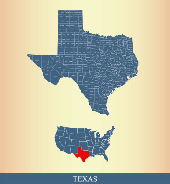 ilustraciones, imágenes clip art, dibujos animados e iconos de stock de etiquetado como ilustración de vector de contorno condado mapa resaltado en el mapa de usa con los nombres de los condados de texas - rusk county