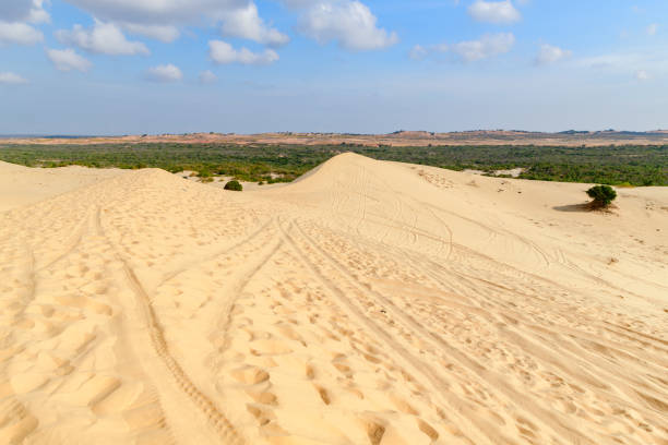 Landscape of white sand dune desert at Mui Ne, Vietnam, Popular tourist attraction