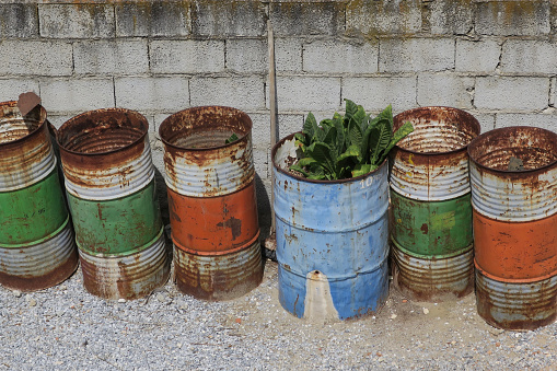a queue of six multit colored oildrums