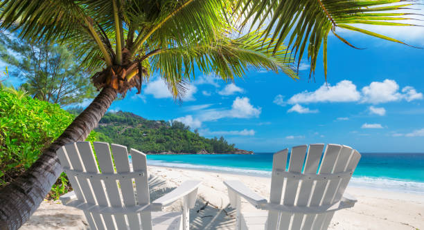 Beach chairs on tropical beach Beach chairs on sandy beach with palm and turquoise sea.  Summer vacation and travel concept. island vacation stock pictures, royalty-free photos & images