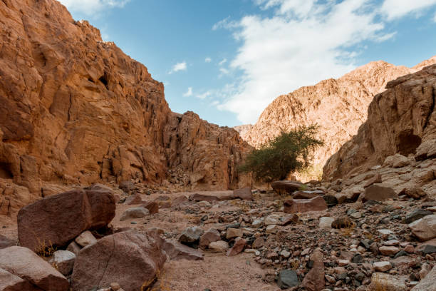 istock Mountain in Sinai desert Egypt 1001335474