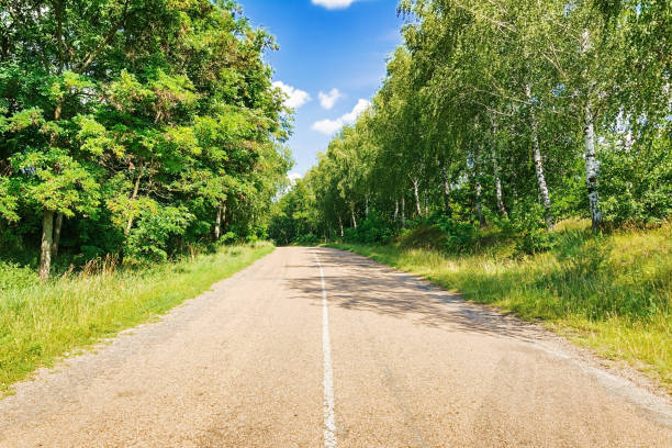 istock Road against the blue sky. Beautiful landscape. 1001345416