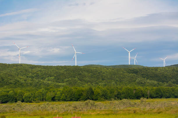 wind turbin at forest mountain with sky
