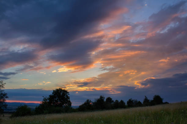istock Amazing sunset with trees silhouette and meadow 1001346364