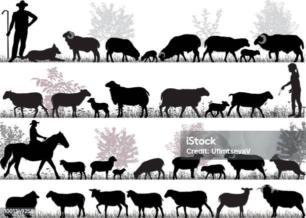 Herd Of Sheep Stock Illustration - Download Image Now - Sheep, In Silhouette, Ewe