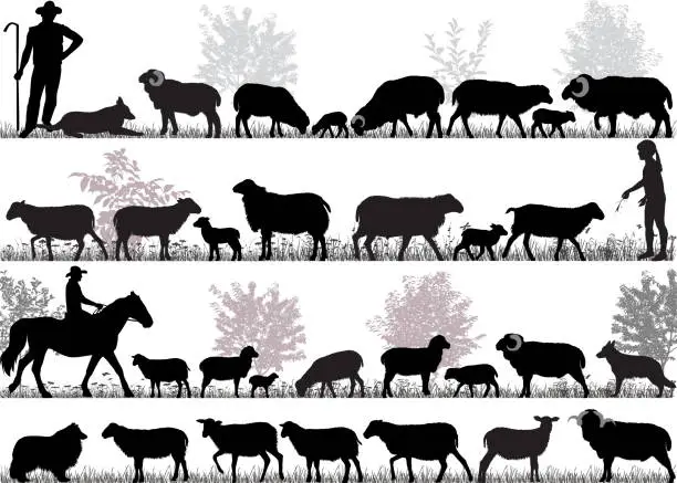 Vector illustration of Herd of sheep