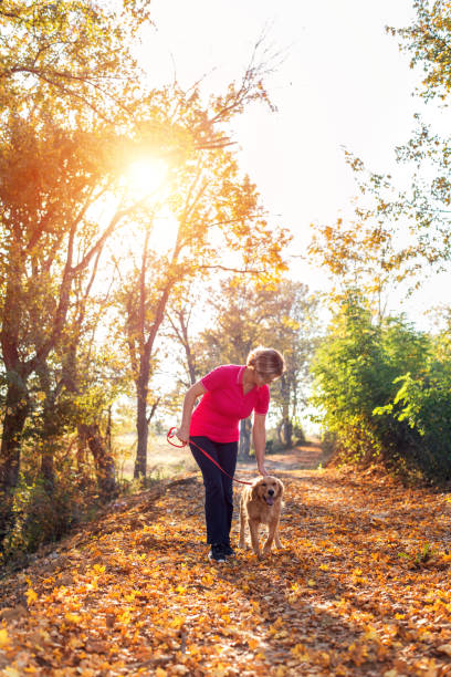 istock Woman on autumn walk with golden retriver 1001349304
