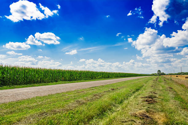 istock Summer field against the blue sky. Beautiful landscape. 1001350136