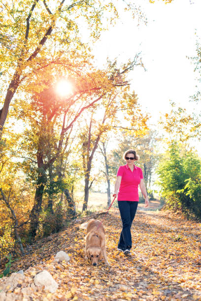 istock Woman on autumn walk with golden retriver 1001354156
