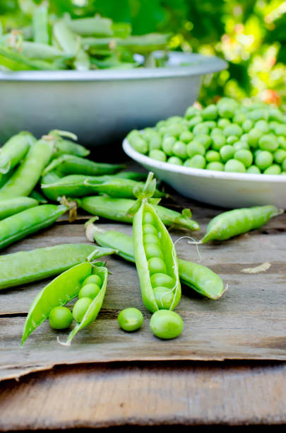 istock Pods of young green peas and pea 1001357404