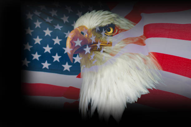 istock Wallpaper american eagle with USA flag 1001363248